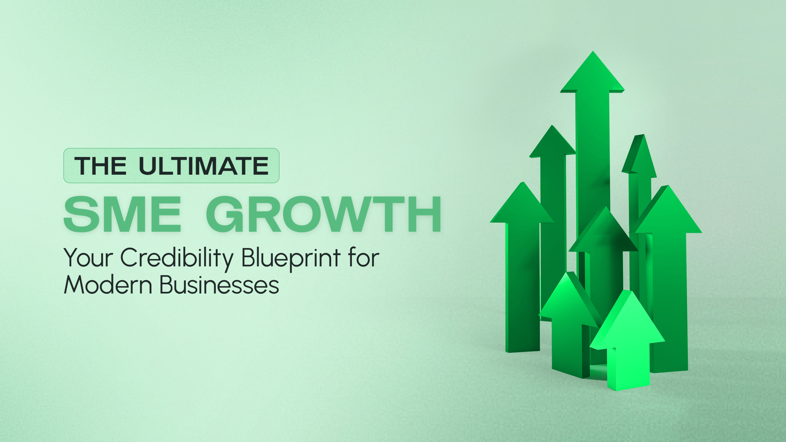 SME Growth Plan